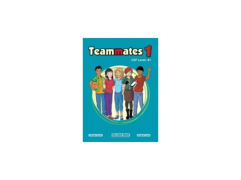 TEAMMATES 1 A1 GRAMMAR
