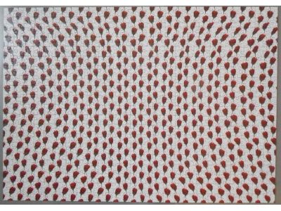 Ravensburger Παζλ 500 Τεμαχίων 3D Illusion Magic Eye