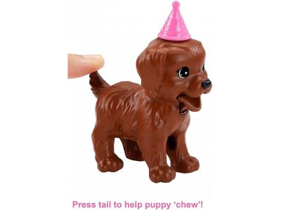 Mattel Barbie Puppy Party Doll Και Σκυλάκια Πάρτι Γενεθλίων ,GXV75, 1 τμχ