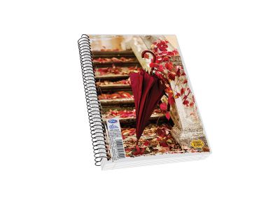 Τετράδιο Skag Σπιράλ STREET ICONS 17Χ25 3Θεμάτων Διάφορα σχέδια Ν.7273