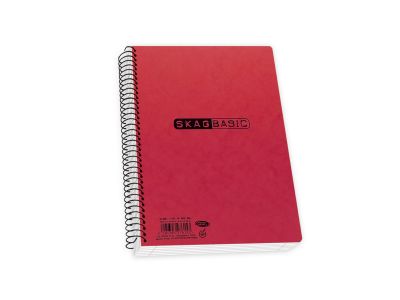 Τετράδιο Skag Σπιράλ   BASIC 17Χ25 5Θεμάτων 8ΟGR Διάφορα σχέδια ΝΟ8005