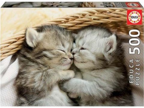 Educa Sweet Kittens 2D 500pcs 19004