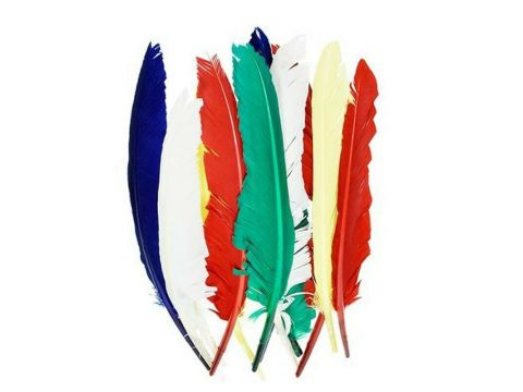  Φτερά Χειροτεχνίας Efco Indian 20-30cm 10τμχ 1004400
