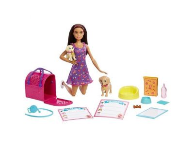 Mattel Κούκλα Barbie Pup Adoption HKD86