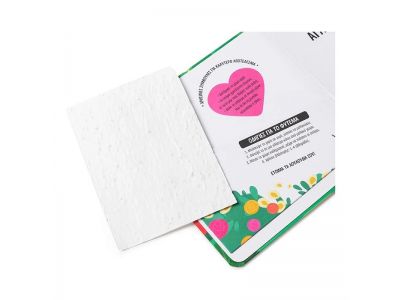 Σαββάλας Το Αρκουδάκι Αγαπάει τις Μέλισσες 34243