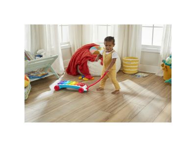 Fisher-Price Εκπαιδευτικό Μεγαλο Ξυλόφωνο - Ελληνικά και Αγγλικά HJK36
