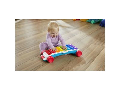 Fisher-Price Εκπαιδευτικό Μεγαλο Ξυλόφωνο - Ελληνικά και Αγγλικά HJK36