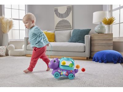 Fisher-Price Εκπαιδευτικό Συρρόμενο Δεινοσαυράκι HNR55