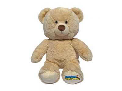 As company AS Λούτρινο Διαδραστικό Αρκουδάκι Αρρωστούλι 1607-18400